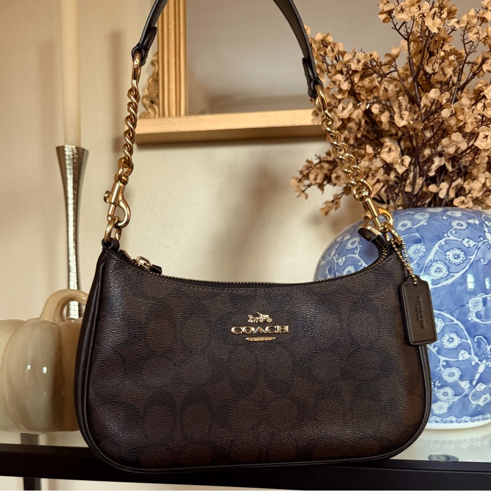 Coach Teri Hobo Shoulder Bag